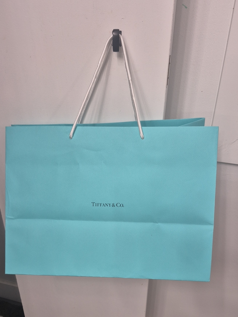 Tiffany & Co. Robin's Egg Blue Paper Tote with White Rope Handles